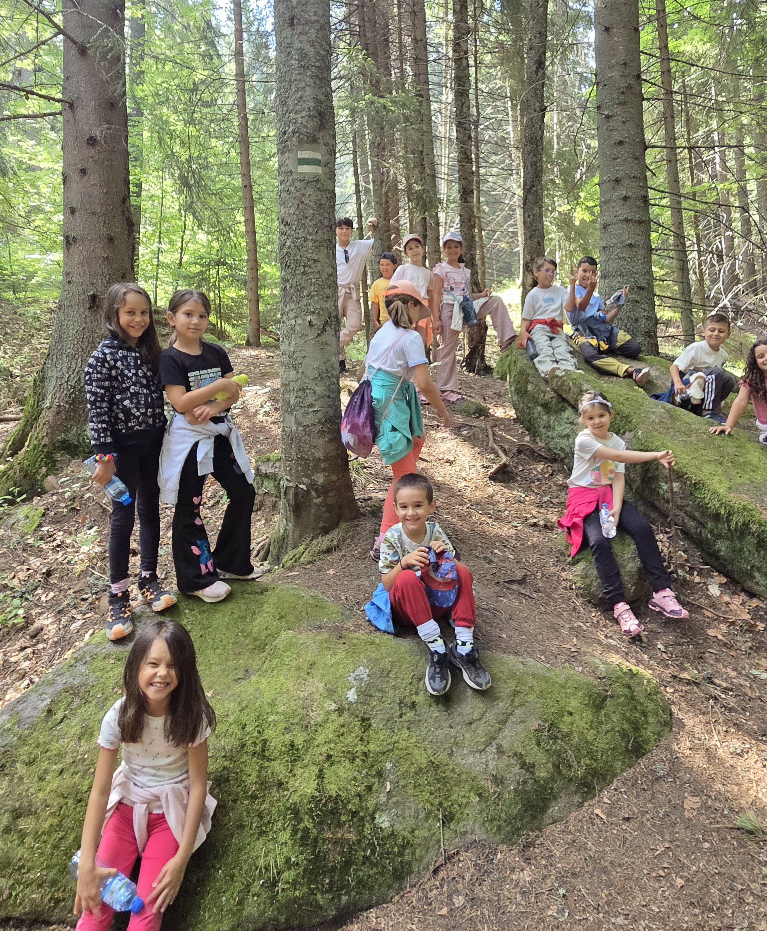 Снимка от 🌿 С деца  на   [Витоша планина]  🌲